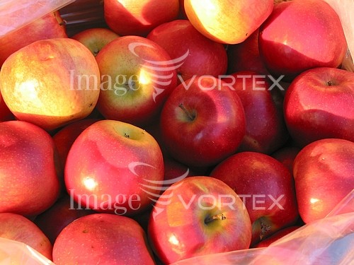 Food / drink royalty free stock image #409863869