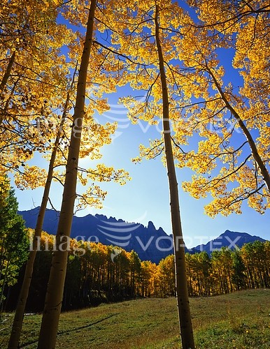 Nature / landscape royalty free stock image #409339509