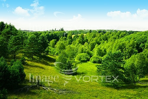 Nature / landscape royalty free stock image #409342381