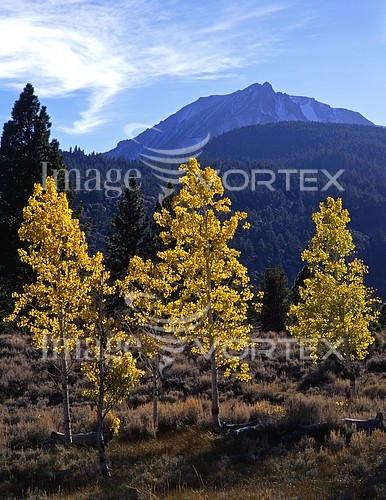 Nature / landscape royalty free stock image #413238097