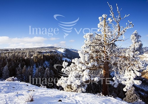 Nature / landscape royalty free stock image #415062059