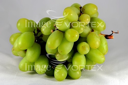 Food / drink royalty free stock image #419976733