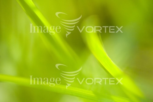 Background / texture royalty free stock image #421556190