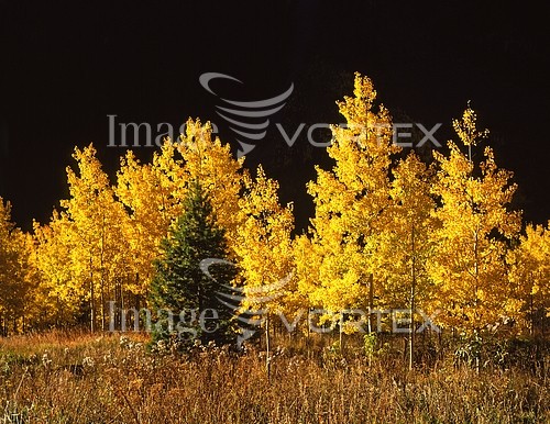 Nature / landscape royalty free stock image #422028259