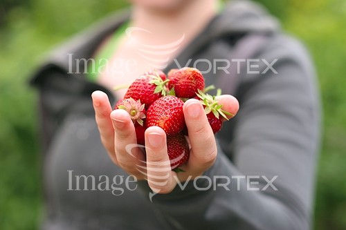 Food / drink royalty free stock image #423700180