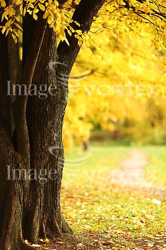 Park / outdoor royalty free stock image #424470316