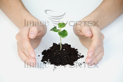Industry / agriculture royalty free stock image #424712005