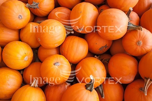 Industry / agriculture royalty free stock image #424098571