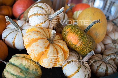 Industry / agriculture royalty free stock image #424151648
