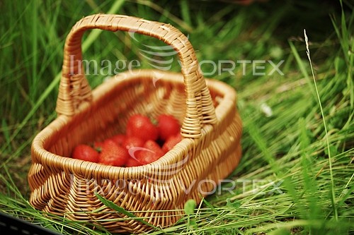 Food / drink royalty free stock image #424784110