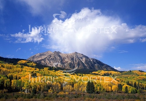 Nature / landscape royalty free stock image #425011809