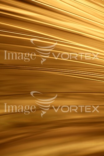 Background / texture royalty free stock image #426760098