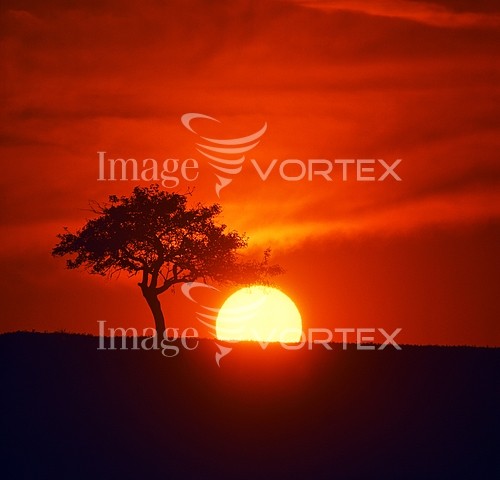 Sunset / sunrise royalty free stock image #427226207