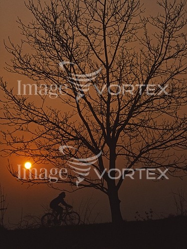 Sunset / sunrise royalty free stock image #429429603