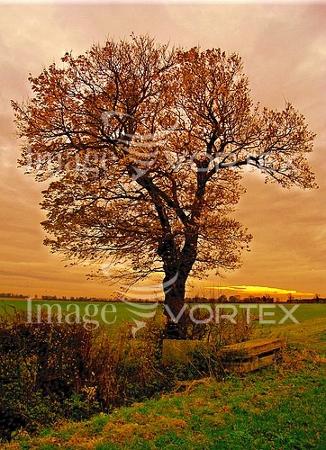 Nature / landscape royalty free stock image #430115131