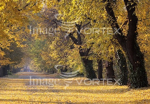 Park / outdoor royalty free stock image #431337967