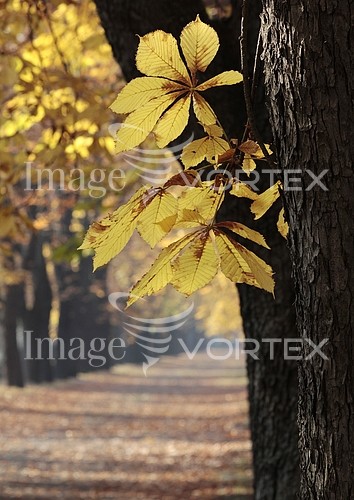 Park / outdoor royalty free stock image #431090515