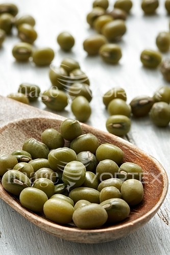 Food / drink royalty free stock image #432129935