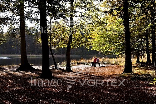 Park / outdoor royalty free stock image #435210194