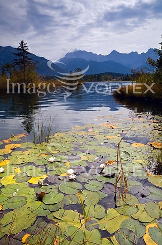 Nature / landscape royalty free stock image #435029457
