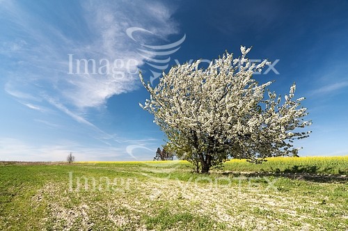 Industry / agriculture royalty free stock image #436773335