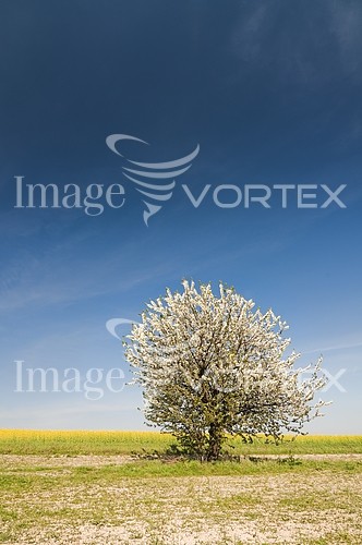 Industry / agriculture royalty free stock image #436746747