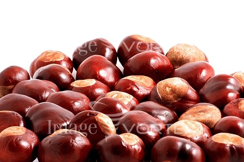 Food / drink royalty free stock image #438591431