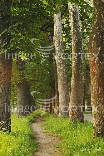Park / outdoor royalty free stock image #446992096