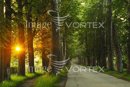 Park / outdoor royalty free stock image #447053094