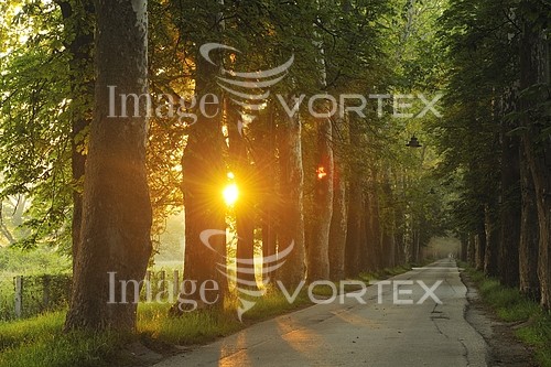 Park / outdoor royalty free stock image #447062263
