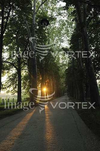 Park / outdoor royalty free stock image #447074850