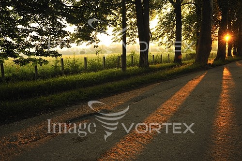Park / outdoor royalty free stock image #447080834