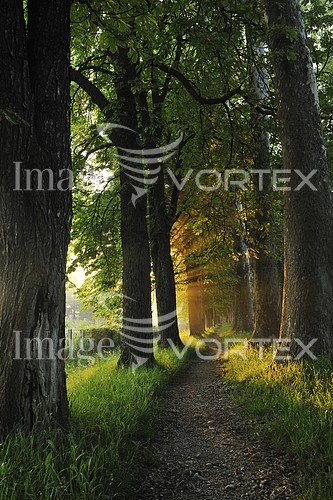 Park / outdoor royalty free stock image #447091542