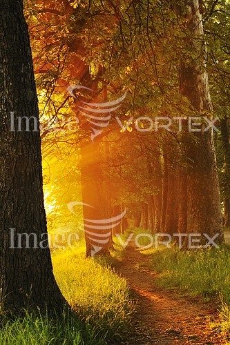 Park / outdoor royalty free stock image #447107208