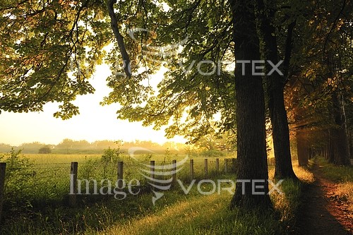 Park / outdoor royalty free stock image #447114589