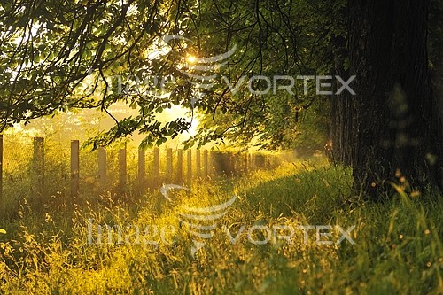 Park / outdoor royalty free stock image #447249906