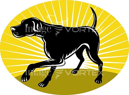 Pet / cat / dog royalty free stock image #448640069