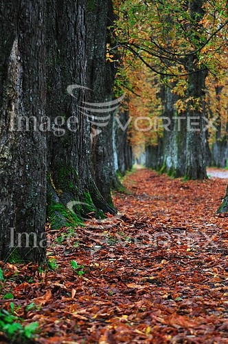 Park / outdoor royalty free stock image #449462621