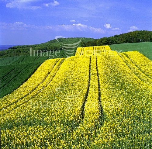 Industry / agriculture royalty free stock image #450786571