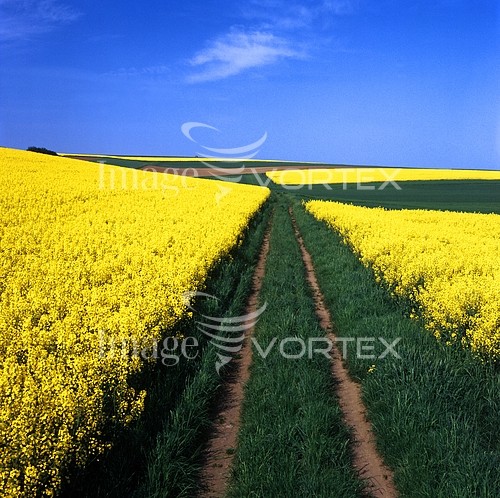 Industry / agriculture royalty free stock image #450800580