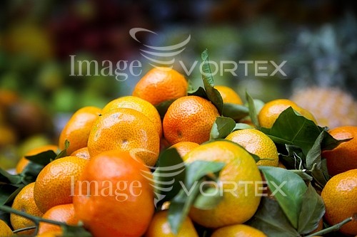 Food / drink royalty free stock image #450907938