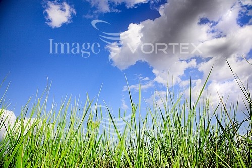 Nature / landscape royalty free stock image #450863095