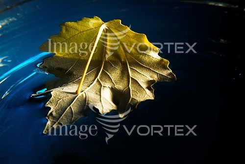 Nature / landscape royalty free stock image #450747635