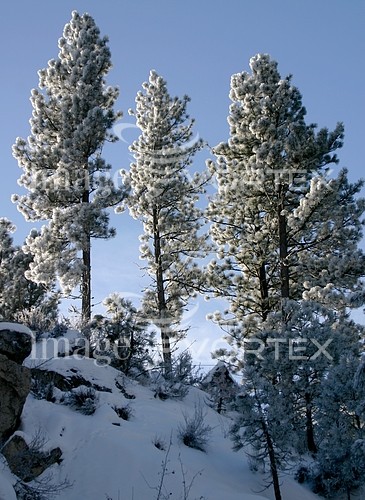 Nature / landscape royalty free stock image #454095453