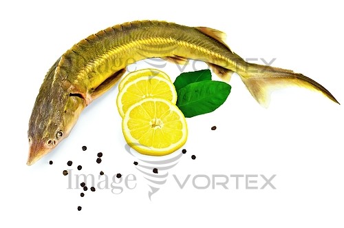 Food / drink royalty free stock image #457613914