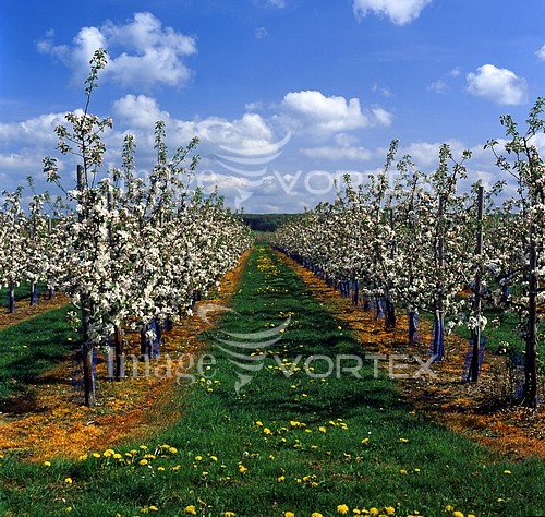 Industry / agriculture royalty free stock image #458850006