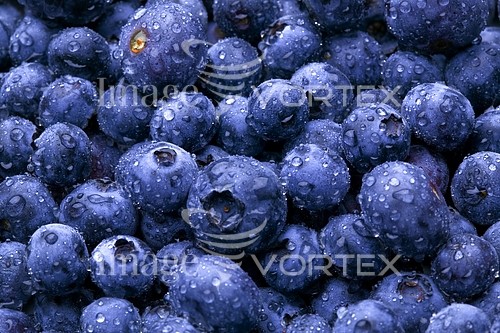 Food / drink royalty free stock image #459754276