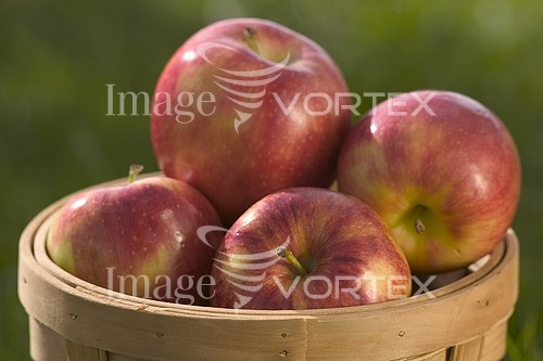 Food / drink royalty free stock image #460181679