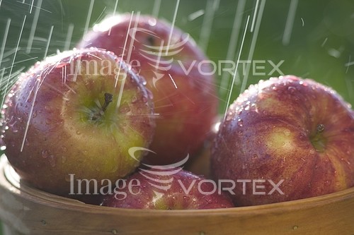 Food / drink royalty free stock image #460253908