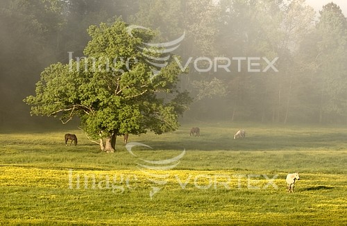 Park / outdoor royalty free stock image #463408895